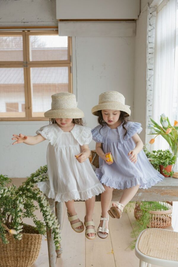 Jolie Summer 🕊️ Luella 雕花翻領洋裝