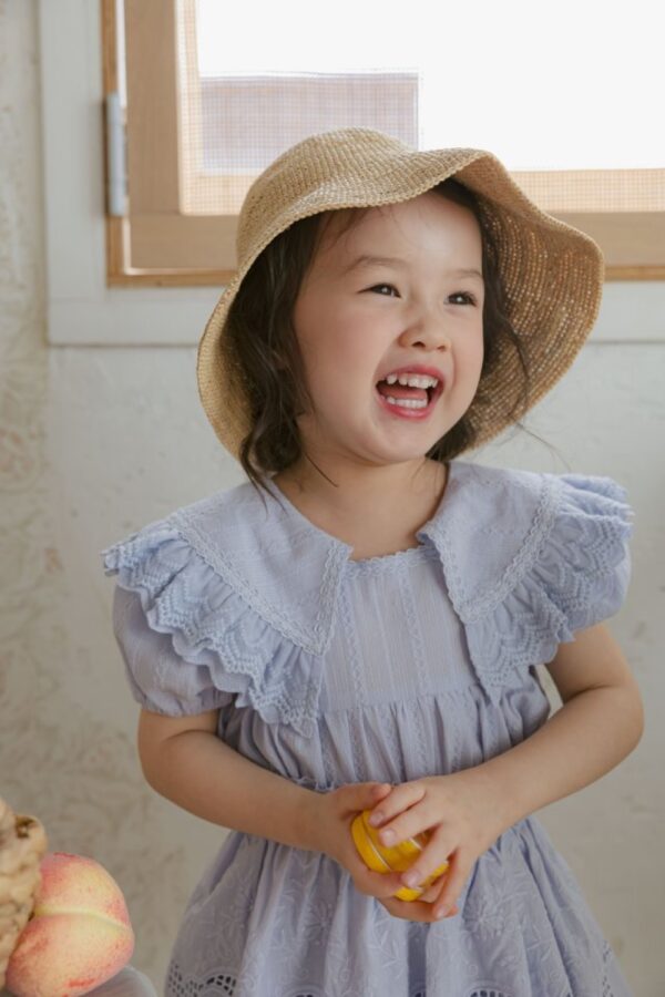 Jolie Summer 🕊️ Luella 雕花翻領洋裝