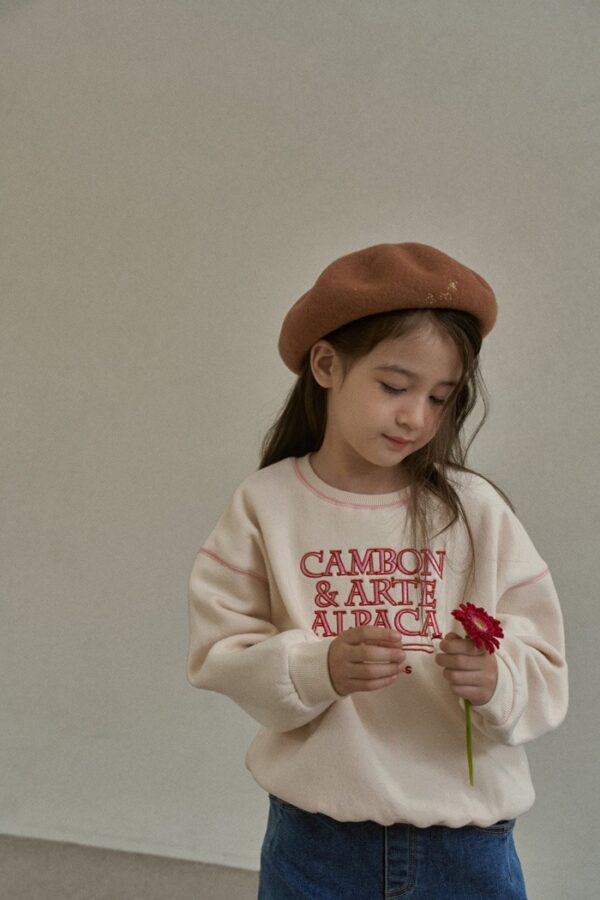 568F316A-1776-4652-B290-5EE5E03106BA ❄️ Cambon 微光休閒衛衣