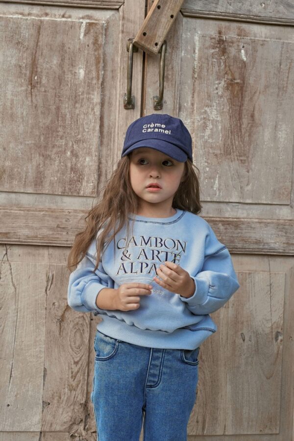 8D5A77C4-88DA-4147-97F1-0CE36891835B ❄️ Cambon 微光休閒衛衣