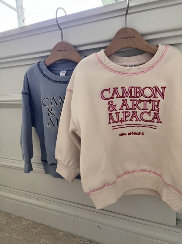 94CB7F44-2E89-4247-A317-6E3749A93B04 ❄️ Cambon 微光休閒衛衣