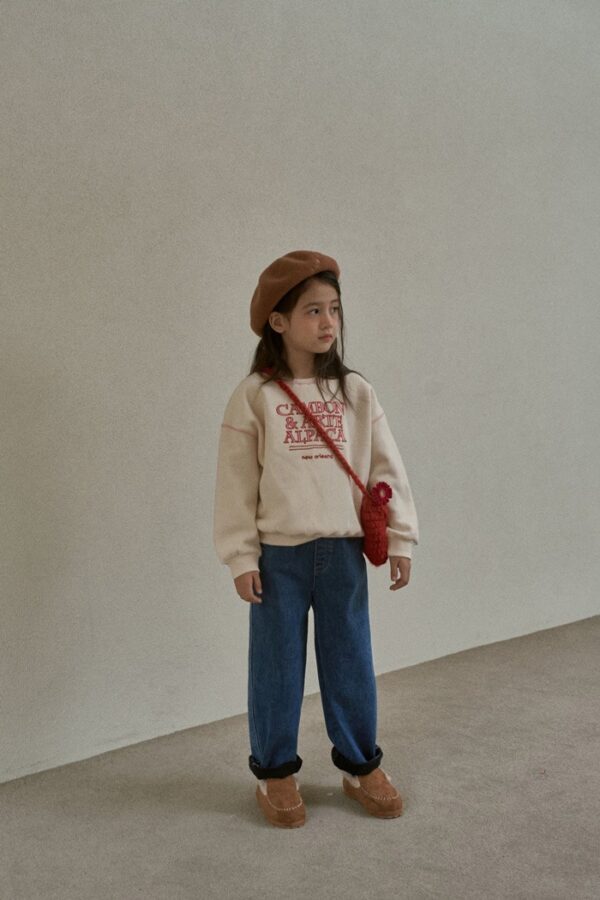 9B128C1D-5B9C-4131-B59A-41BAA5CF6E69 ❄️ Cambon 微光休閒衛衣