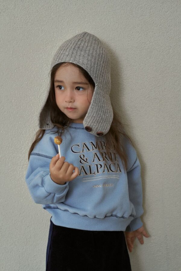 BB2E1A12-DB80-4CF9-B95C-A0B24D7015AB ❄️ Cambon 微光休閒衛衣