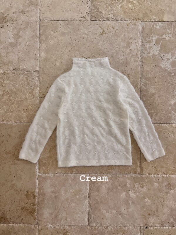 ❄️ 氣質蕾絲拼接半高領打底衣