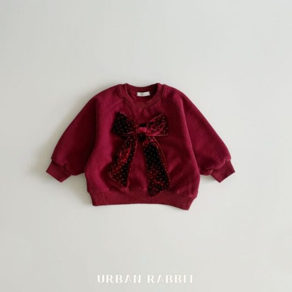 ❄️ 優雅絲絨蝴蝶結衛衣