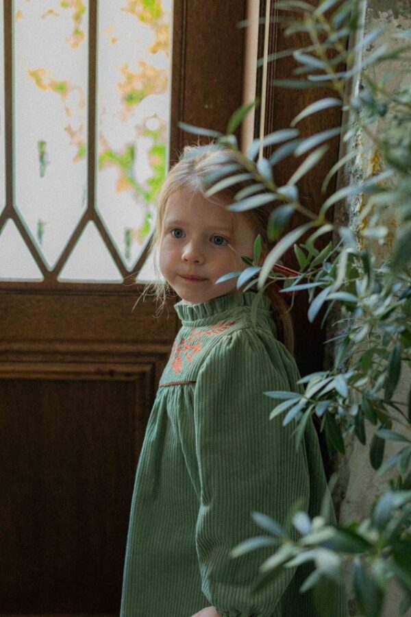 42080A88-4F9D-4CA0-88E9-29794A357363 ❄️ 精緻浪漫立體刺繡A字洋裝