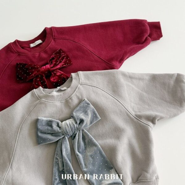 ❄️ 優雅絲絨蝴蝶結衛衣