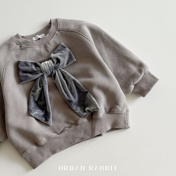 ❄️ 優雅絲絨蝴蝶結衛衣