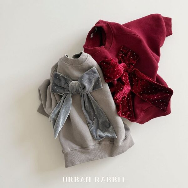 ❄️ 優雅絲絨蝴蝶結衛衣