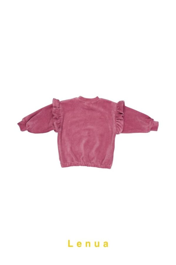 848319B8-3F7A-4020-B24A-6E33E6468312 ❄️ 復古絲絨天使上衣