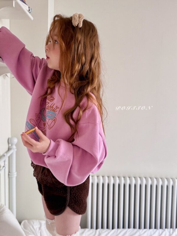 ❄️ 愛麗絲寬鬆刷毛大學T