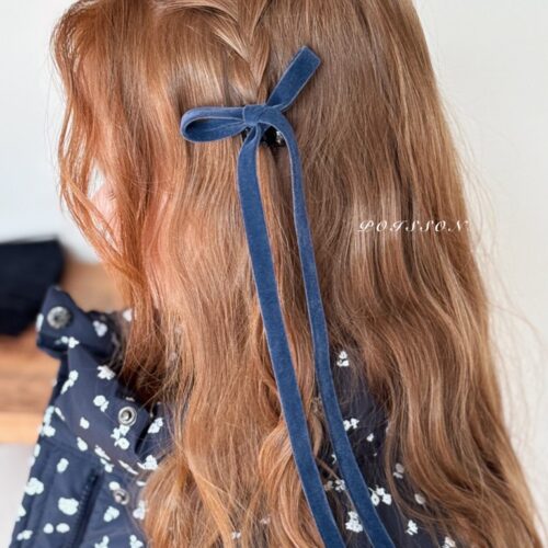 A3328844-2B7B-4CBA-A46E-B6BB58F118D8_1_105_c ❄️ 絲絨蝴蝶結造型髮夾