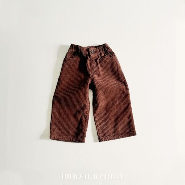 A6A11BD8-C88C-42F6-859A-B14D56086630 ❄️ 可愛可可色燈芯絨寬褲