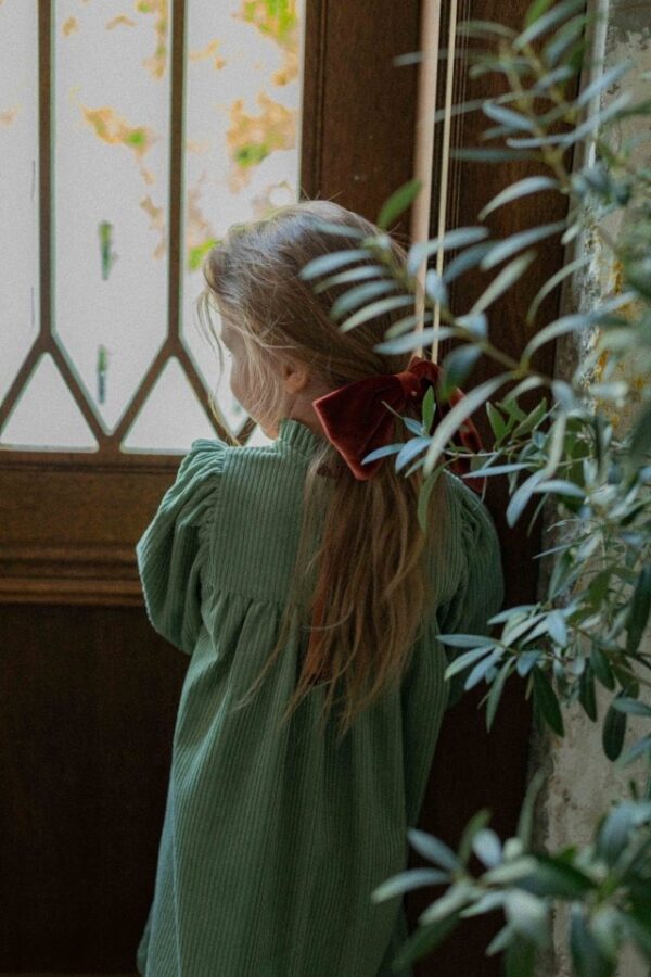 B3906DB9-B88A-4405-B276-74288E4556D3 ❄️ 精緻浪漫立體刺繡A字洋裝