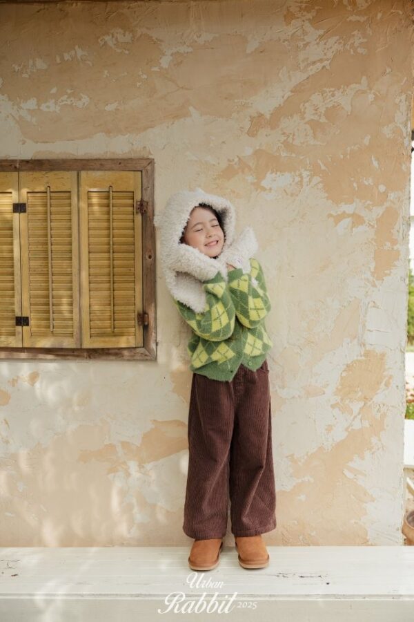 B780444F-7E62-40D7-BC31-00E093FC73BA ❄️ 連帽長圍巾