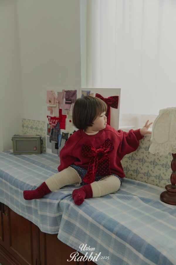 ❄️ 優雅絲絨蝴蝶結衛衣