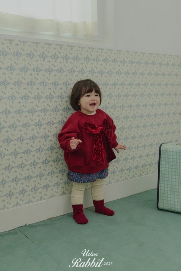 ❄️ 優雅絲絨蝴蝶結衛衣