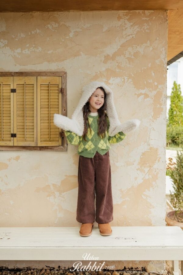 C9D2A32B-CD7A-4FA2-B7DD-6C136D0EF26D ❄️ 連帽長圍巾