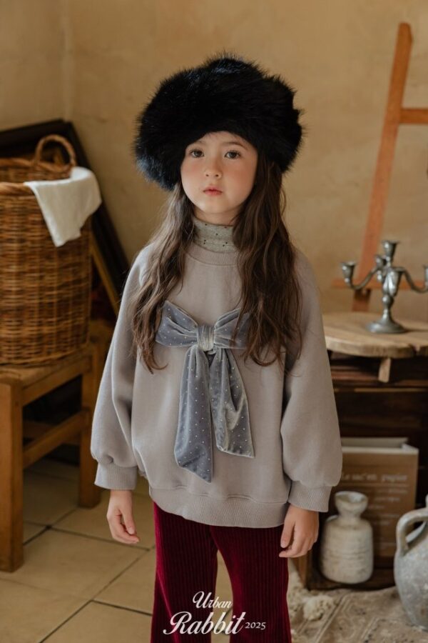 ❄️ 優雅絲絨蝴蝶結衛衣