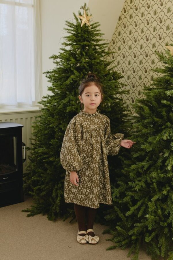 6034808C-2E76-4AF6-8224-42113C8A7C4B ❄️ 清新田園澎袖洋裝