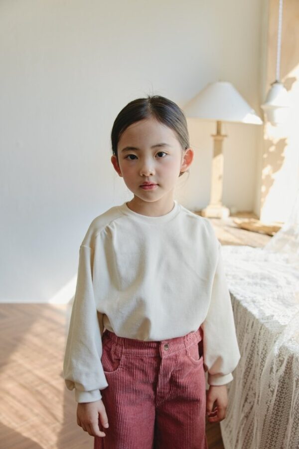 6A7BDF34-832C-43EE-9CA0-6D8DBB96A5DC ❄️ 小抓褶百搭上衣