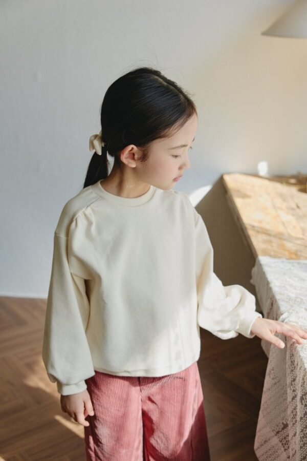 780DE415-AB90-4491-B8B9-33A4BC8BAD43 ❄️ 小抓褶百搭上衣