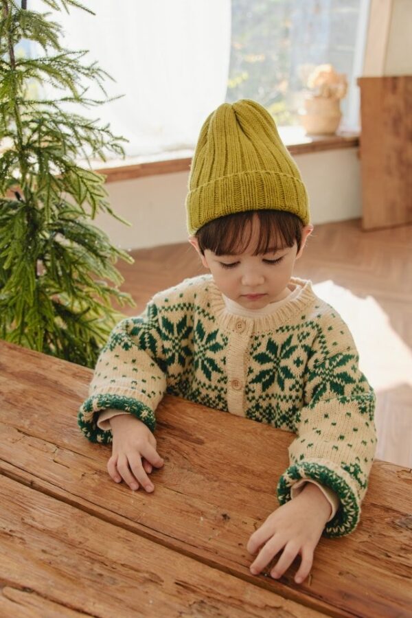 8F822373-4836-40C8-959C-87CF46136862 ❄️ 北歐耶誕開襟外套