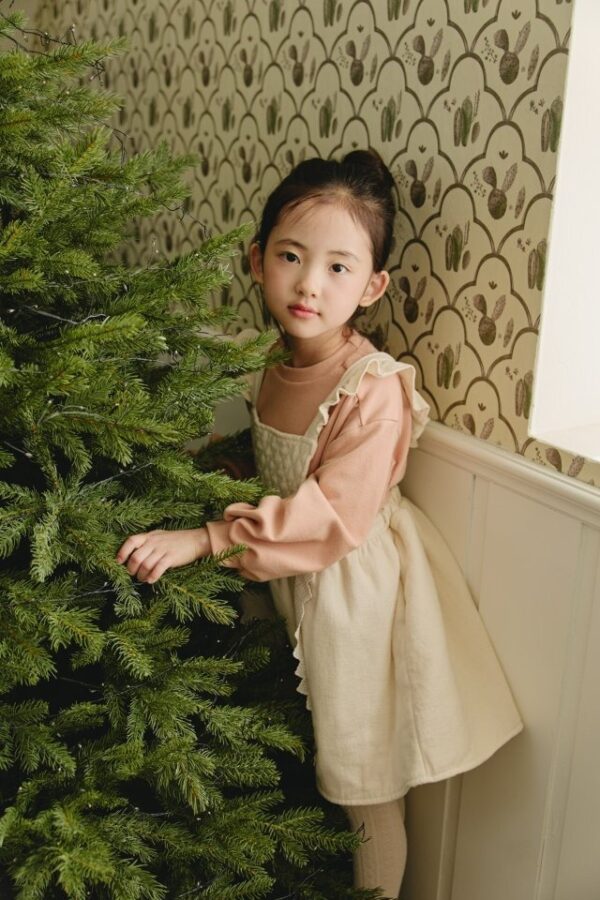 91D59E4F-1A62-4A6A-AC2D-E8E46EBD3730 ❄️ 蕾絲花邊圍裙背心裙