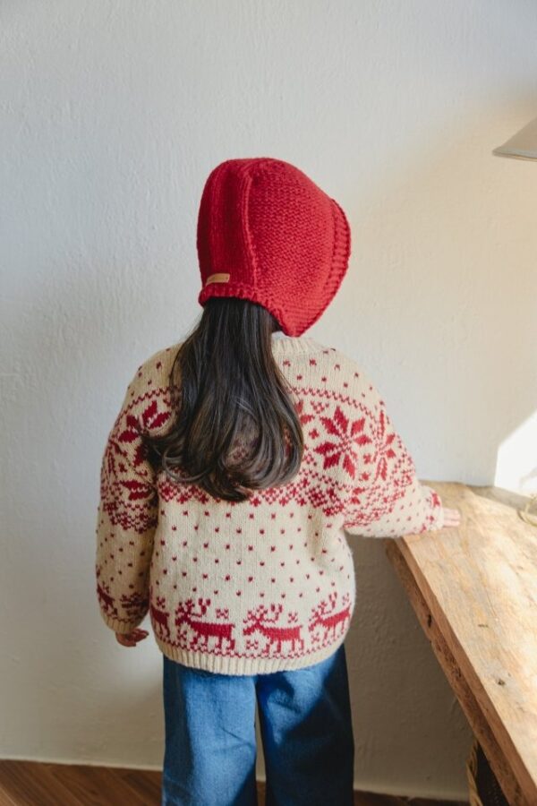 925E454C-DAF9-4F7F-8940-B44C53D5F9A9 ❄️ 北歐耶誕開襟外套