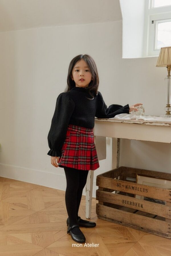 97323655-6232-4DB7-8AE7-90B1C345C1EB ❄️ 經典格紋褲裙