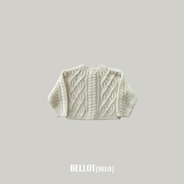 99CB0D94-3BBC-4F6E-944B-15F0B5741FF2 ❄️ 質感麻花編織毛衣外套