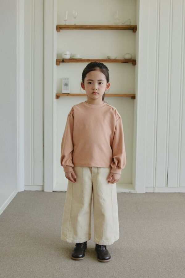 A6B4D605-59C1-4BB0-BC3F-581837769A29 ❄️ 小抓褶百搭上衣