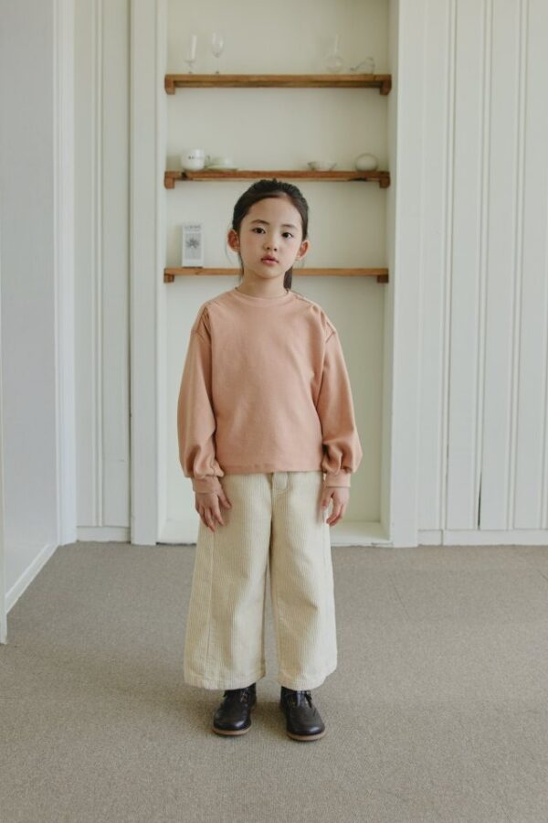 D8D2B13E-A003-4D08-89A3-FC2BBD87BAEE ❄️ 小抓褶百搭上衣