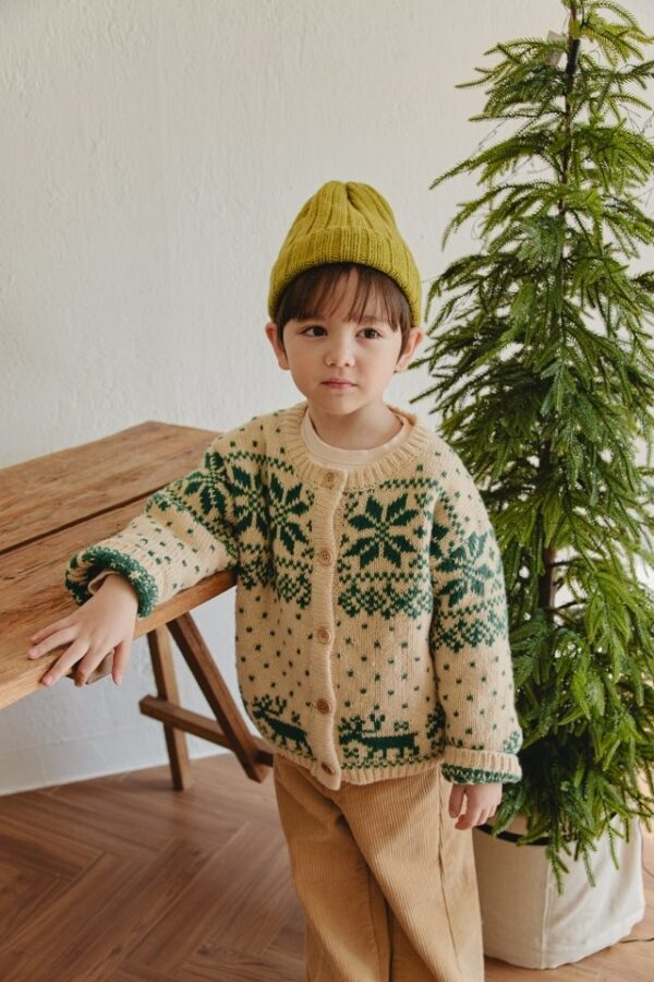 E0963030-E9A4-4F4D-B9E9-2A723F9E162C ❄️ 北歐耶誕開襟外套