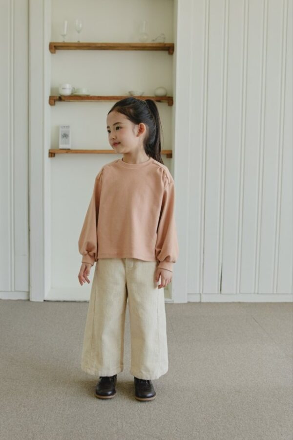 EC61F0A6-B0A8-4CC6-B9BF-43A24E336AAA ❄️ 小抓褶百搭上衣