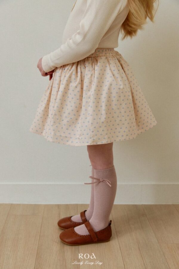 025FE716-14C4-4AEA-9E5F-57CE862CC2B5 〖預購〗聖米歇爾圓舞裙