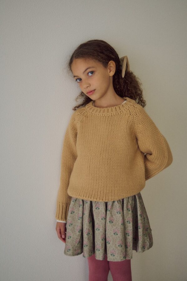 04BEC79A-2205-4366-BFF4-3DA5044471FB_1_105_c ❄️ 威尼斯清新碎花百褶短裙