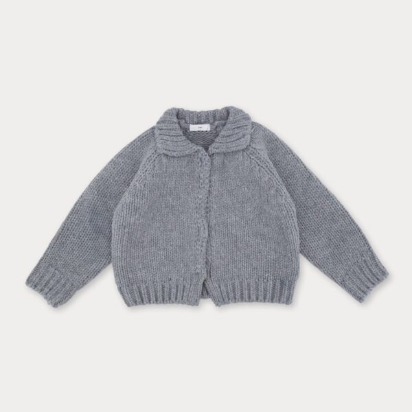 14F4E3CA-3D0C-44BD-80C1-3EED7C25D8C8_1_105_c ❄️ 暗扣領片針織外套