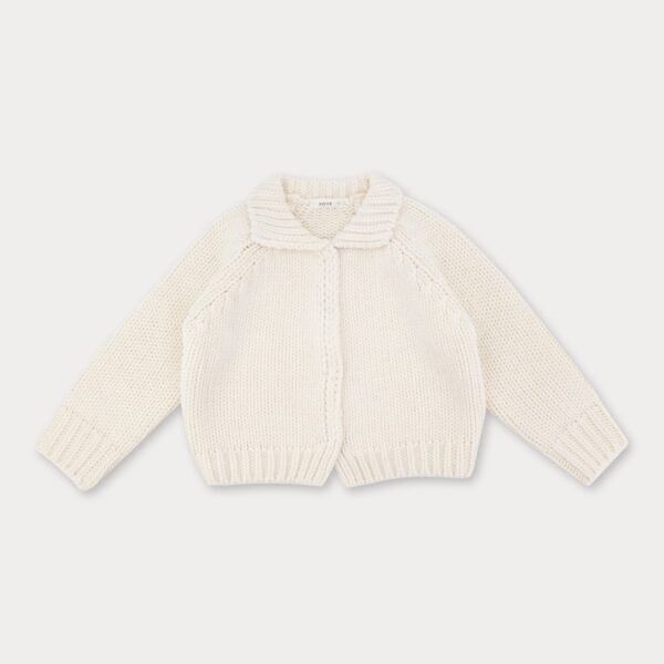 1FF67188-9461-48EF-A95F-91C0F1FC92A0_1_105_c ❄️ 暗扣領片針織外套