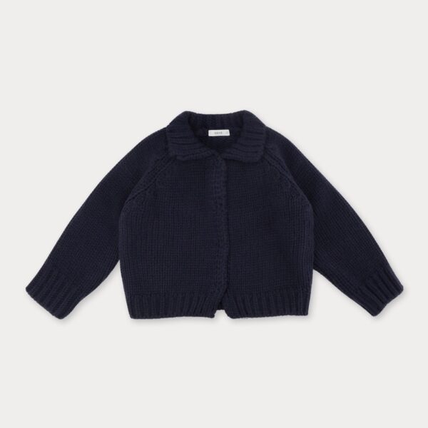 202DF38F-DE25-4783-8881-1DA6D73AF6F1_1_105_c ❄️ 暗扣領片針織外套