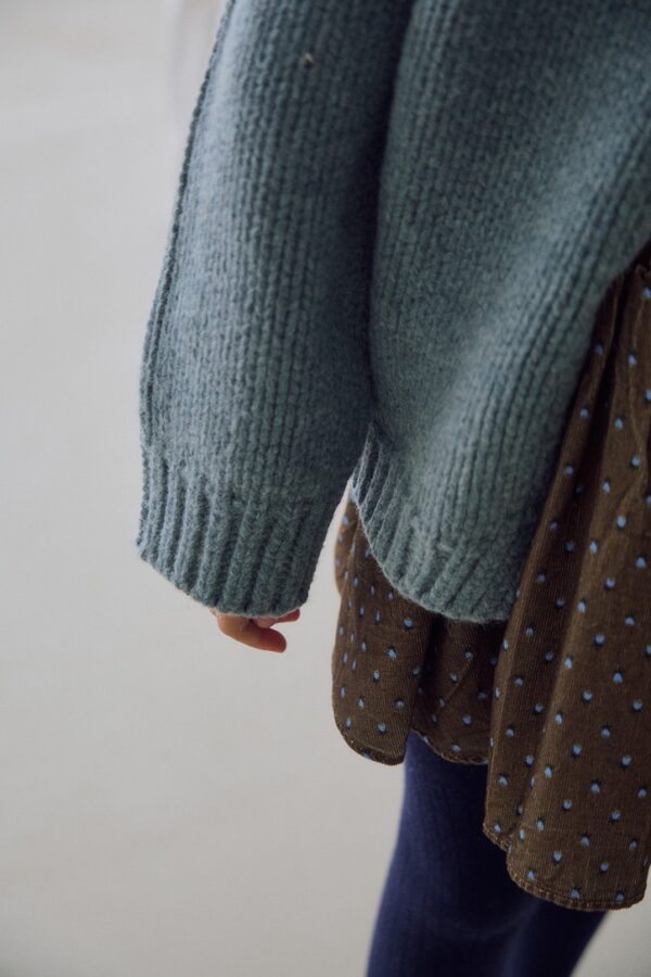 2480ABE4-1CF2-4069-9457-3A3198CC7D38_1_105_c ❄️ 威尼斯清新碎花百褶短裙