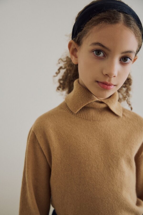 39F55A0A-1A47-4B6D-94BD-9CF61A7C759B_1_105_c ❄️ 頂級羊絨高領衫