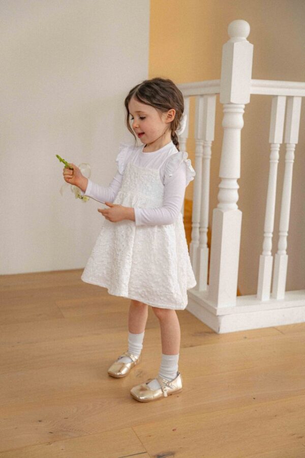 3D613424-1ECF-4EDA-8DEE-8CF72B5519ED 〖預購〗洛亞晨光刺繡洋裝