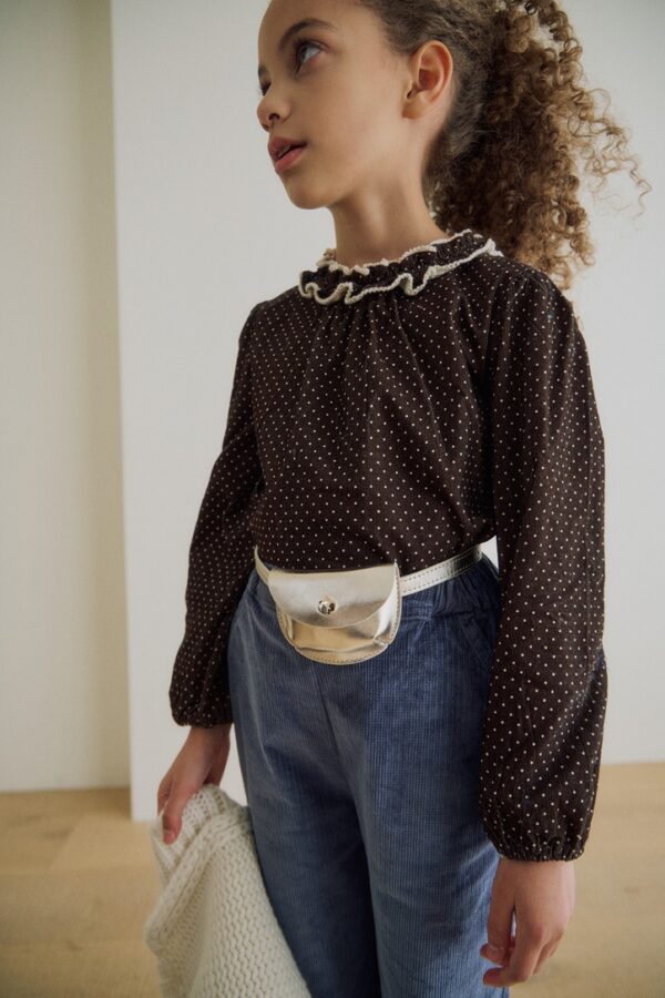 3F29A7B8-B7E1-4BFD-9C5D-B5E17162DE3A_1_105_c ❄️ 法式復古波點優雅上衣