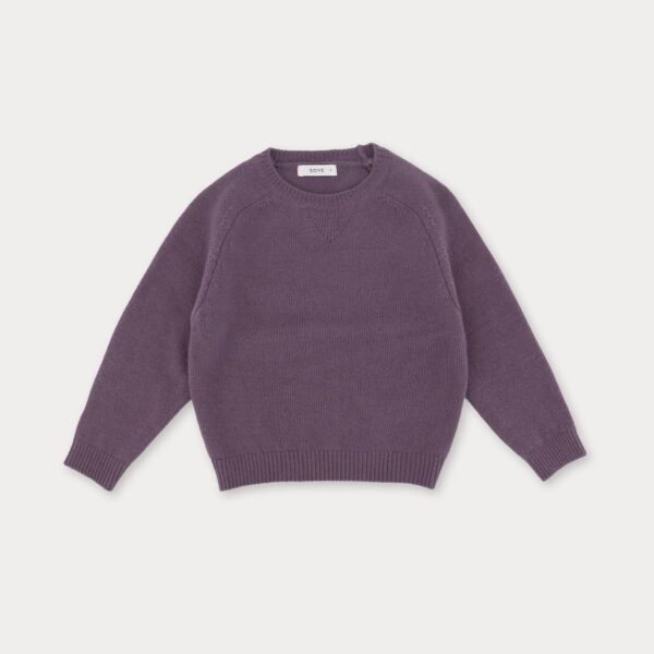 54A62F5E-D18A-4B38-BBA8-A24DDDD9C409_1_105_c ❄️ 休閒羅紋舒適圓領上衣