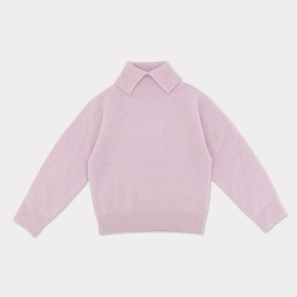 55C7951D-6128-4690-97C6-977363125286_1_105_c ❄️ 頂級羊絨高領衫