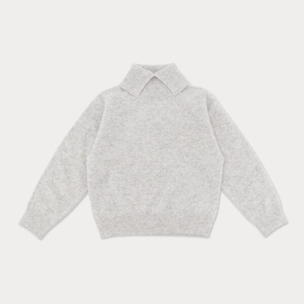 A506AF44-047E-4EC7-A42F-D98B43CDEE76_1_105_c ❄️ 頂級羊絨高領衫