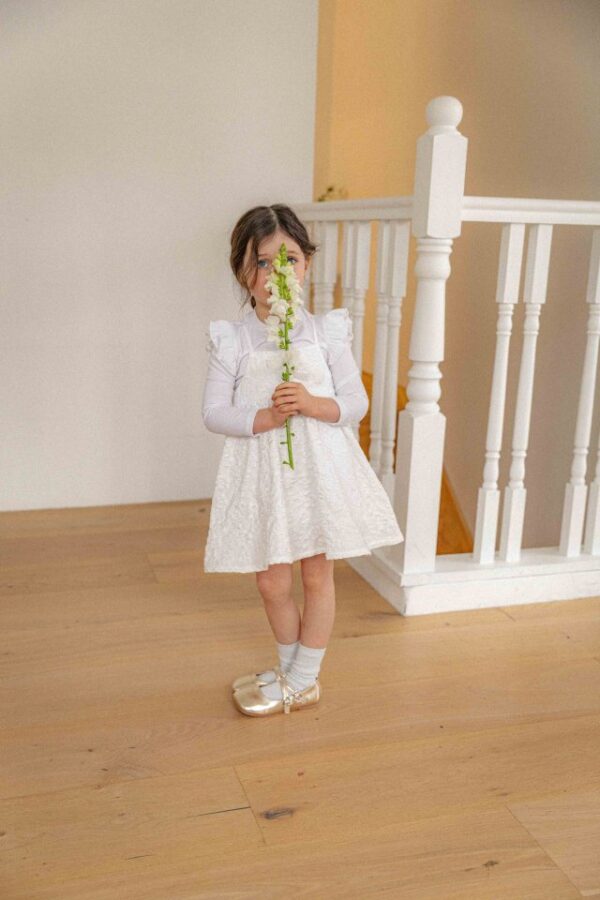 ABA6CADB-0524-42D7-B9F4-932C8D822F7A 〖預購〗洛亞晨光刺繡洋裝