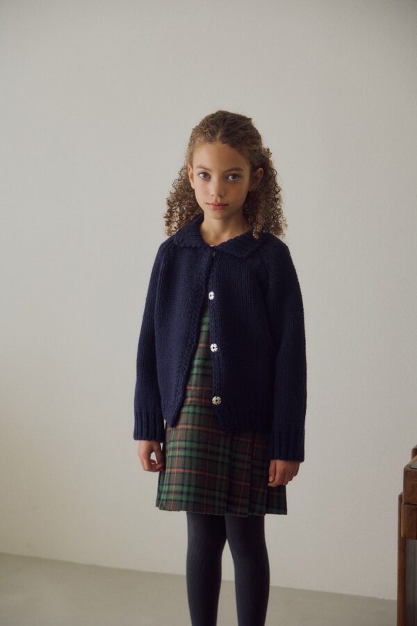 DD9D11C6-2BEB-4F81-9096-C925BC1ADE9F_1_105_c ❄️ 暗扣領片針織外套