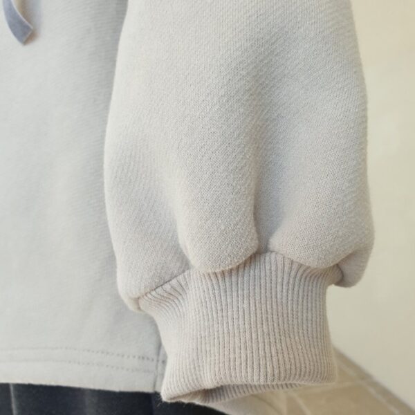 E20C1827-1A01-47A9-A0C4-6E3BCA79130C ❄️ 知性莓果剪裁連帽上衣